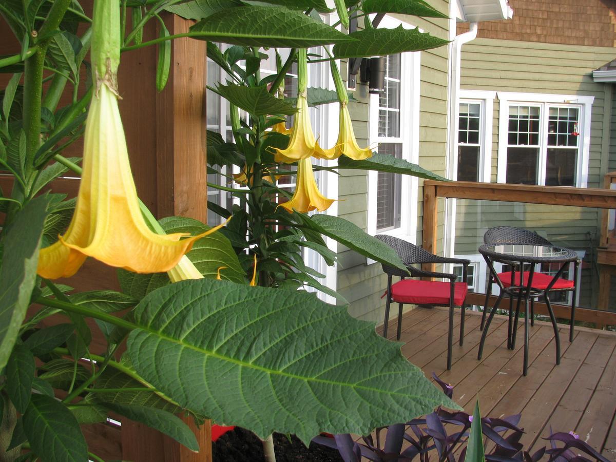 Gî'Temps couette et café B&B Granby Exterior foto